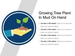 Growing tree plant in mud on hand