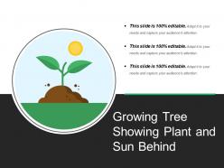 Growing tree showing plant and sun behind