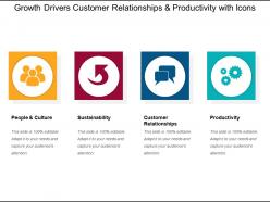 Growth drivers customer relationships and productivity with icons