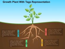Growth plant with tags representation flat powerpoint design