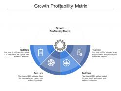 Growth profitability matrix ppt powerpoint presentation professional samples cpb