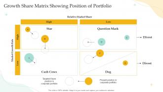 Growth Share Matrix Showing Position Of Portfolio