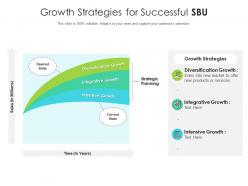 Growth strategies for successful sbu
