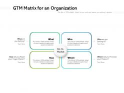GTM Matrix For An Organization