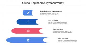 Guide beginners cryptocurrency ppt powerpoint presentation infographics template cpb