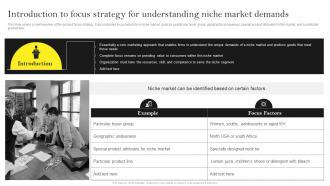 Guide For Building Effective Product Introduction To Focus Strategy For Understanding Niche Market