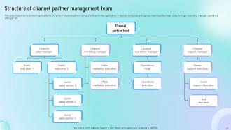 Guide To Successful Channel Partner Program Strategy CD V Professionally Graphical