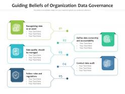 Guiding beliefs of organization data governance