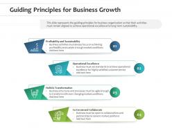 Guiding principles for business growth