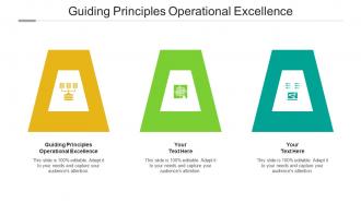 Guiding principles operational excellence ppt powerpoint presentation slides cpb