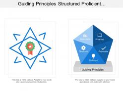 Guiding principles structured proficient proactive measurable stability