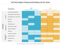 Half yearly adaptive entrepreneurial roadmap with key tactics