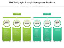 Half yearly agile strategic management roadmap