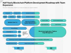 Half yearly blockchain platform development roadmap with team expansion