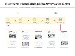 Half yearly business intelligence overview roadmap