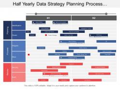 Half yearly data strategy planning process review timeline
