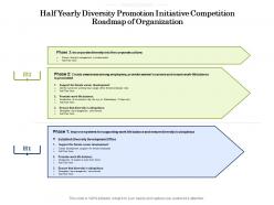 Half yearly diversity promotion initiative competition roadmap of organization