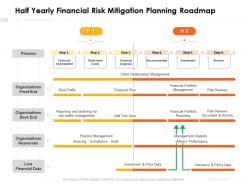Half Yearly Financial Risk Mitigation Planning Roadmap