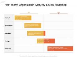 Half yearly organization maturity levels roadmap
