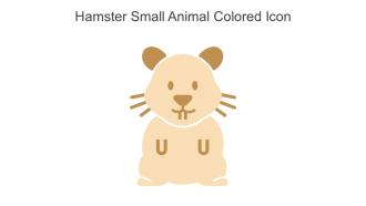 Hamster Small Animal Colored Icon In Powerpoint Pptx Png And Editable Eps Format