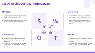 Harnessing Algae For Biofuel And Bioplastics PPT Presentation AT Unique Captivating
