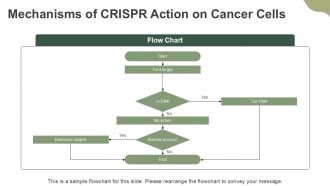 Harnessing CRISPR Technology Transforming Cancer Treatment PPT Slides ACP Images Adaptable