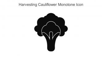 Harvesting Cauliflower Monotone Icon In Powerpoint Pptx Png And Editable Eps Format