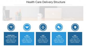Health Care Delivery Structure Ppt Powerpoint Presentation Pictures Styles Cpb