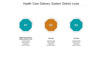 Health care delivery system district level ppt powerpoint presentation model shapes cpb