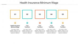 Health insurance minimum wage ppt powerpoint presentation summary icon cpb