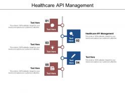 Healthcare api management ppt powerpoint presentation infographics graphics download cpb