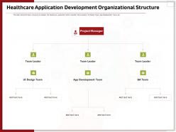 Healthcare application development organizational structure ppt infographics