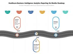 Healthcare business intelligence analytics reporting six months roadmap