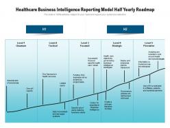 Healthcare business intelligence reporting model half yearly roadmap