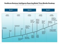 Healthcare Business Intelligence Reporting Model Three Months Roadmap