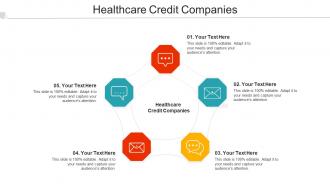Healthcare Credit Companies Ppt Powerpoint Presentation Portfolio Portrait Cpb