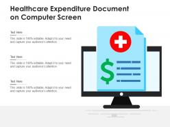 Healthcare expenditure document on computer screen