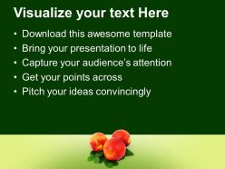Healthy diet food powerpoint templates ppt themes and graphics 0213