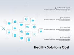 Healthy solutions cost ppt powerpoint presentation file themes
