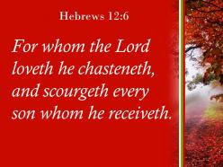 Hebrews 12 6 he accepts as his child powerpoint church sermon
