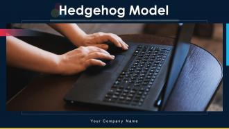 Hedgehog Model PowerPoint PPT Template Bundles