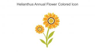 Helianthus Annual Flower Colored Icon In Powerpoint Pptx Png And Editable Eps Format