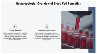 Hematopoiesis Overview of Blood Cell Formation Hematopoiesis Vs Erythropoiesis