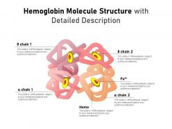 Hemoglobin molecule structure with detailed description