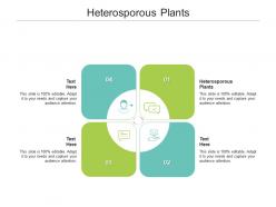 Heterosporous plants ppt powerpoint presentation model slides cpb