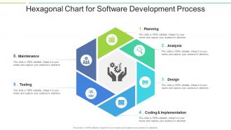 Hexagonal chart for software development process