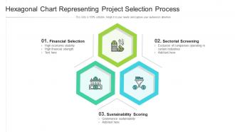 Hexagonal chart representing project selection process