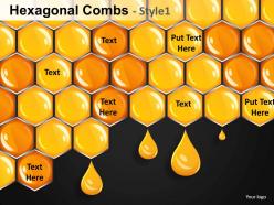 Hexagonal combs style 1 powerpoint presentation slides db