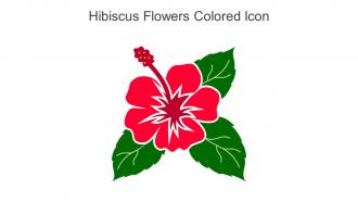 Hibiscus Flowers Colored Icon In Powerpoint Pptx Png And Editable Eps Format