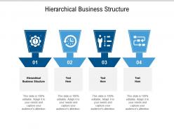 Hierarchical business structure ppt powerpoint presentation inspiration infographic template cpb